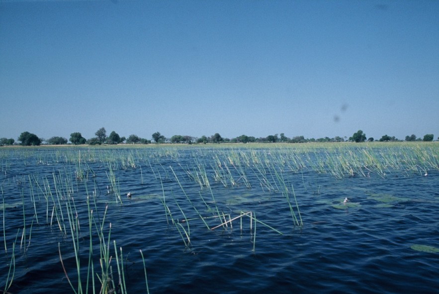F1000023.jpg (124621 octets)