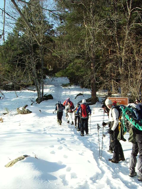 IMGP0172.JPG