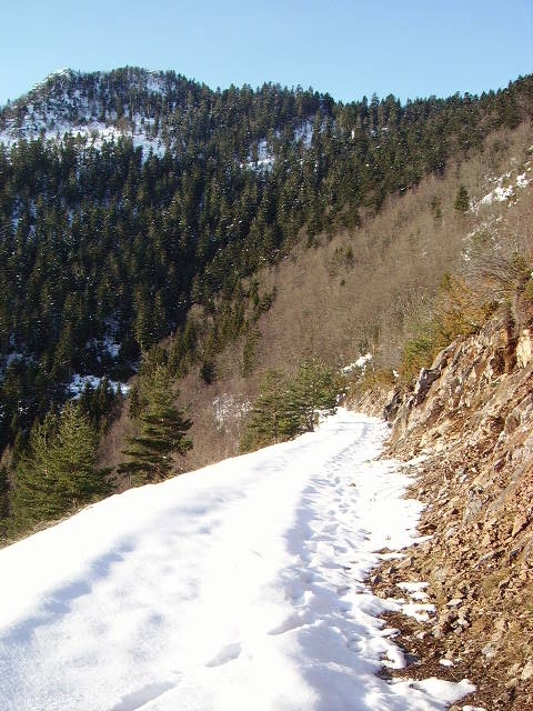 IMGP0175.JPG