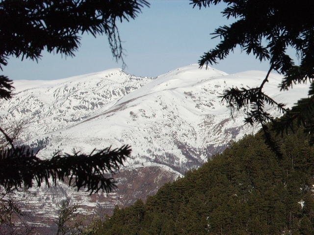 IMGP0185.JPG