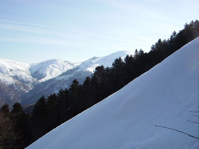 IMGP0189.JPG