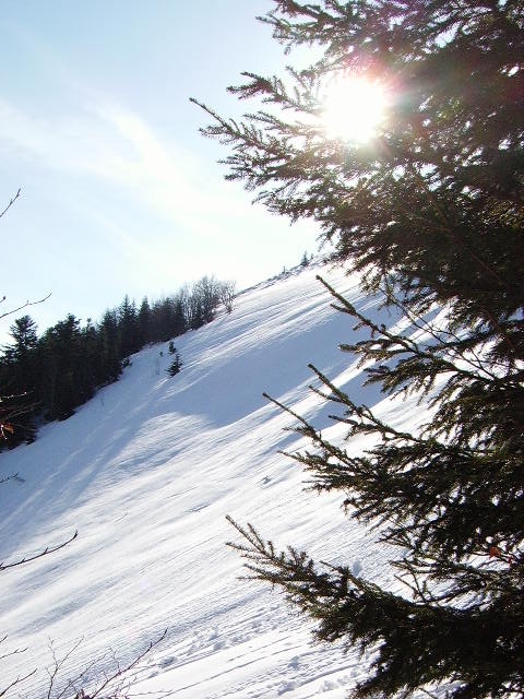IMGP0191.JPG