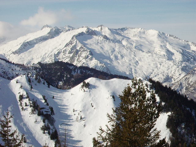 IMGP0203.JPG