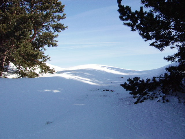 IMGP0206.JPG