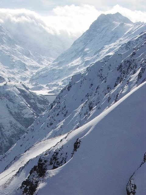 IMGP0229.JPG