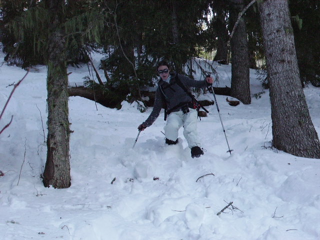 IMGP0238.JPG