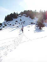 IMGP0204.JPG IMGP0204.JPG
