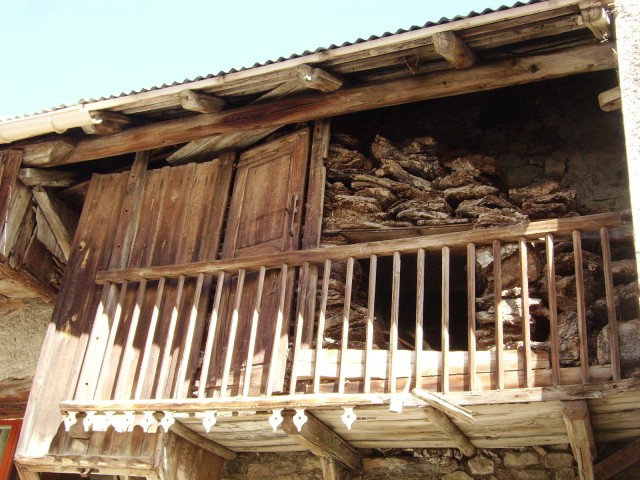 IMGP2974.JPG