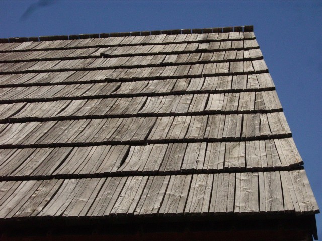 IMGP2978.JPG