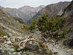 IMGP2850.JPG IMGP2850.JPG