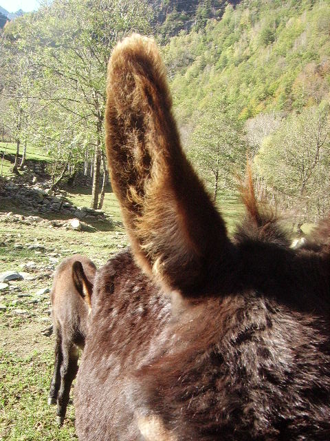 IMGP3792.JPG