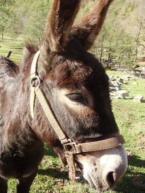 IMGP3797.JPG