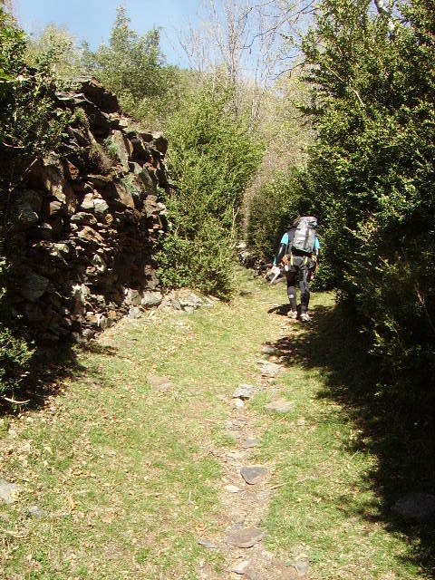 IMGP3803.JPG
