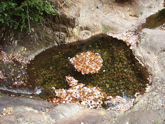 IMGP3816.JPG