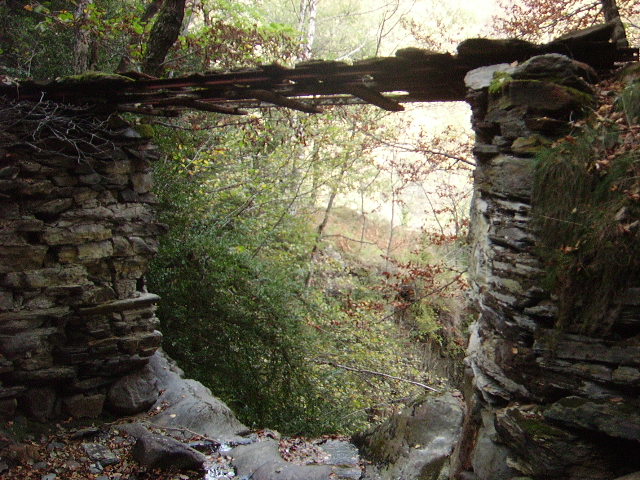 IMGP3823.JPG