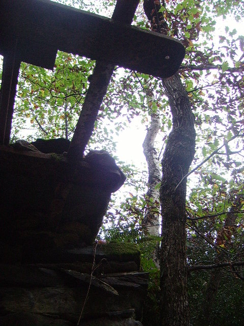 IMGP3829.JPG