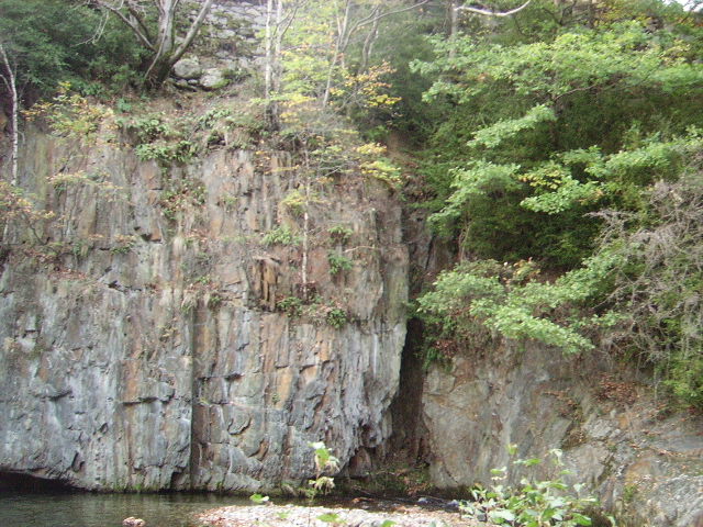 IMGP3848.JPG