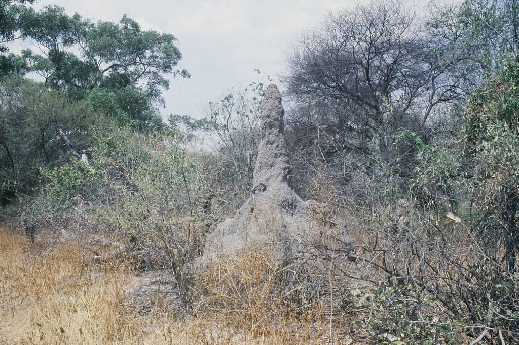 03Thusoimg014.jpg