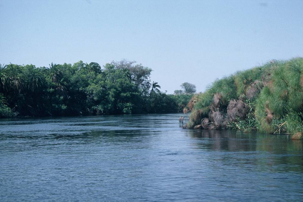 05Ok1F1000004.jpg
