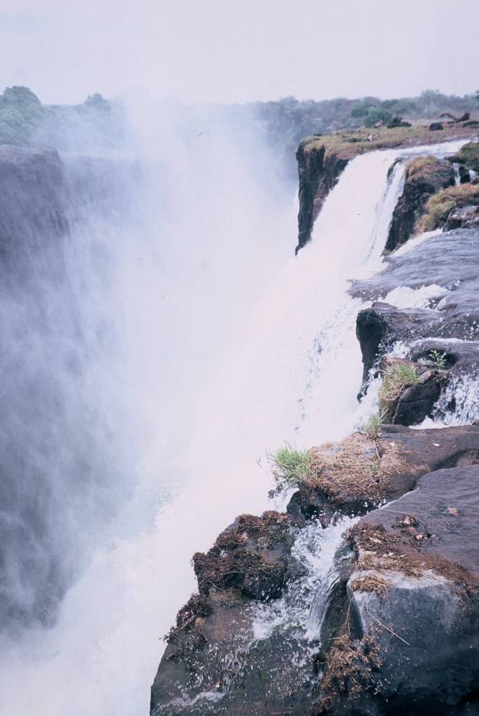 07VFZambpoolF1000025.jpg