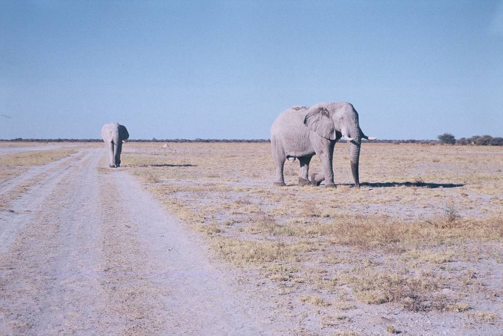 09NxaiF1000012.jpg