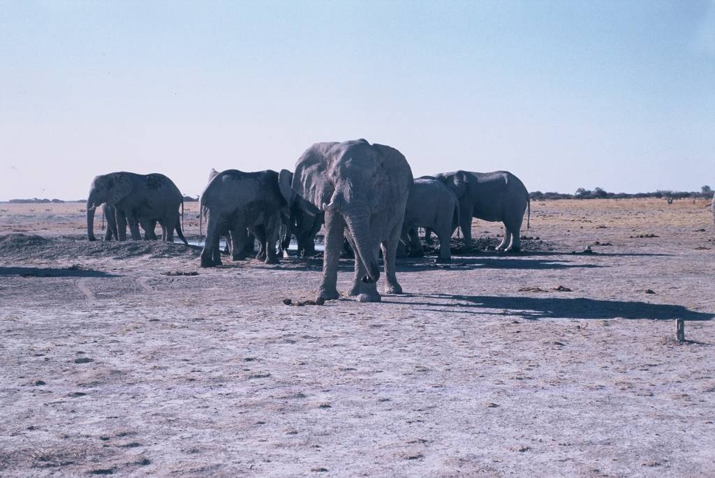 09NxaiF1000015.jpg