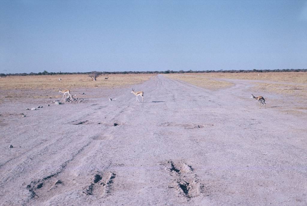 09NxaiF1000016.jpg