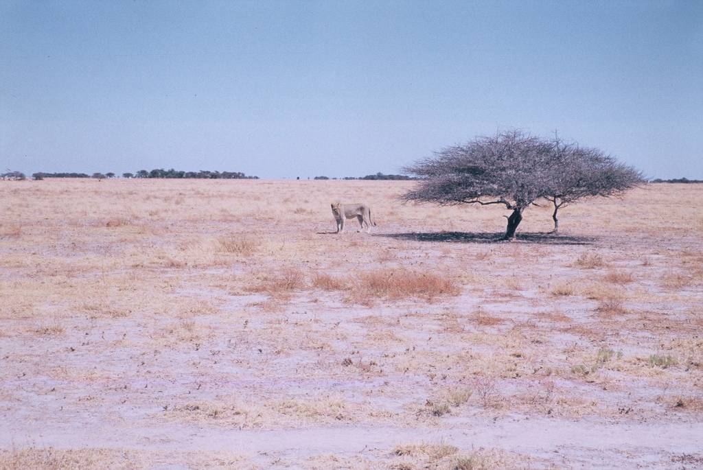 09NxaiF1000031.jpg