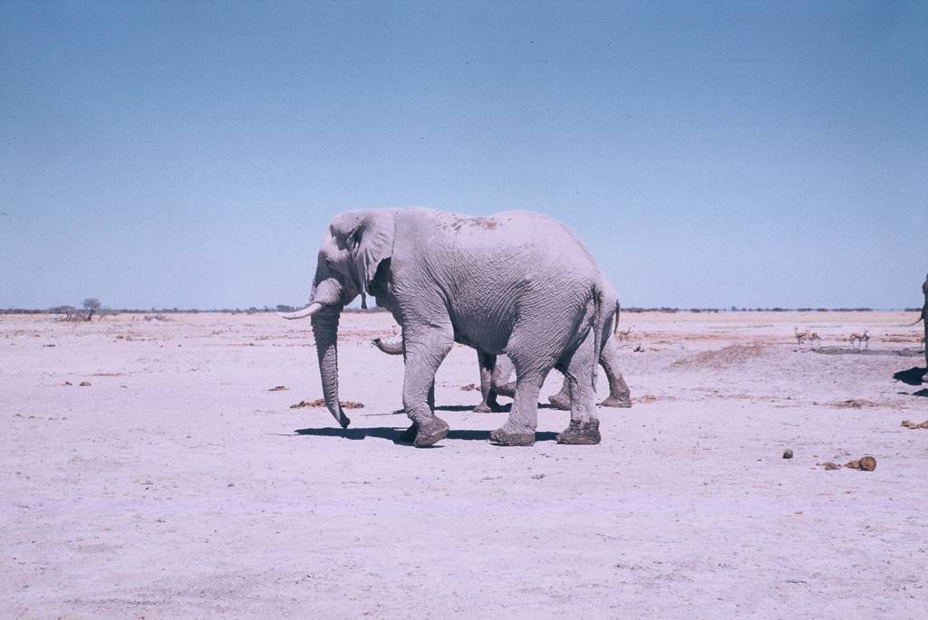 09NxaiF1000033.jpg