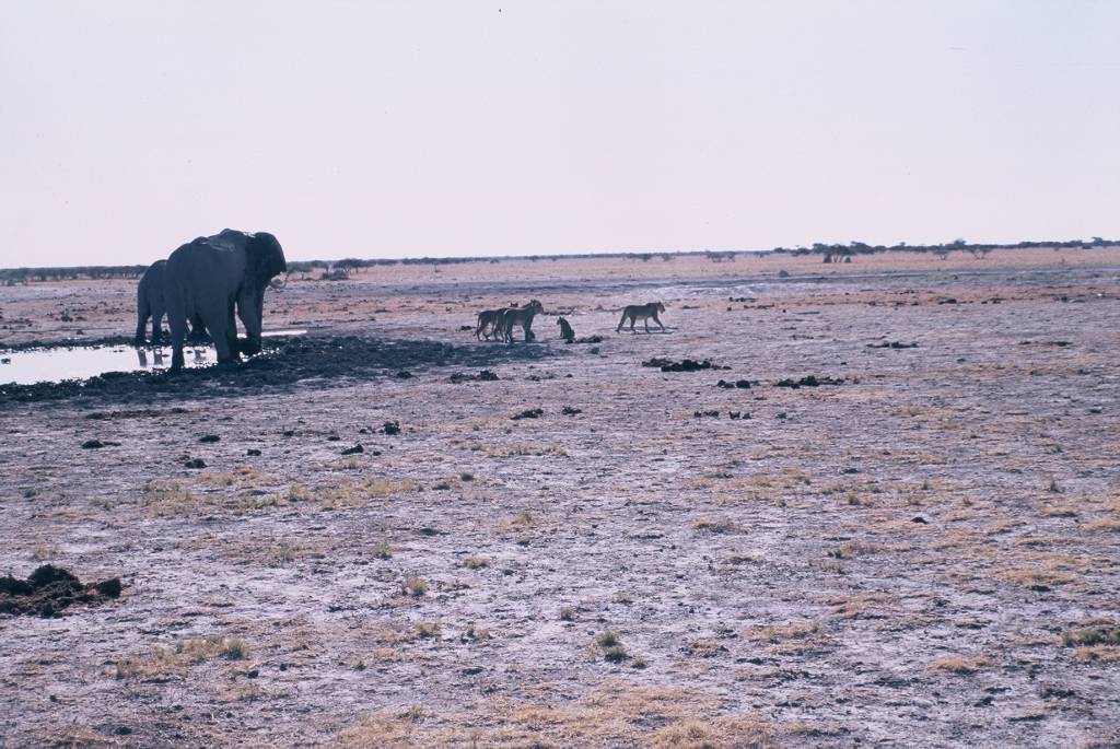 09NxaiF1000035.jpg