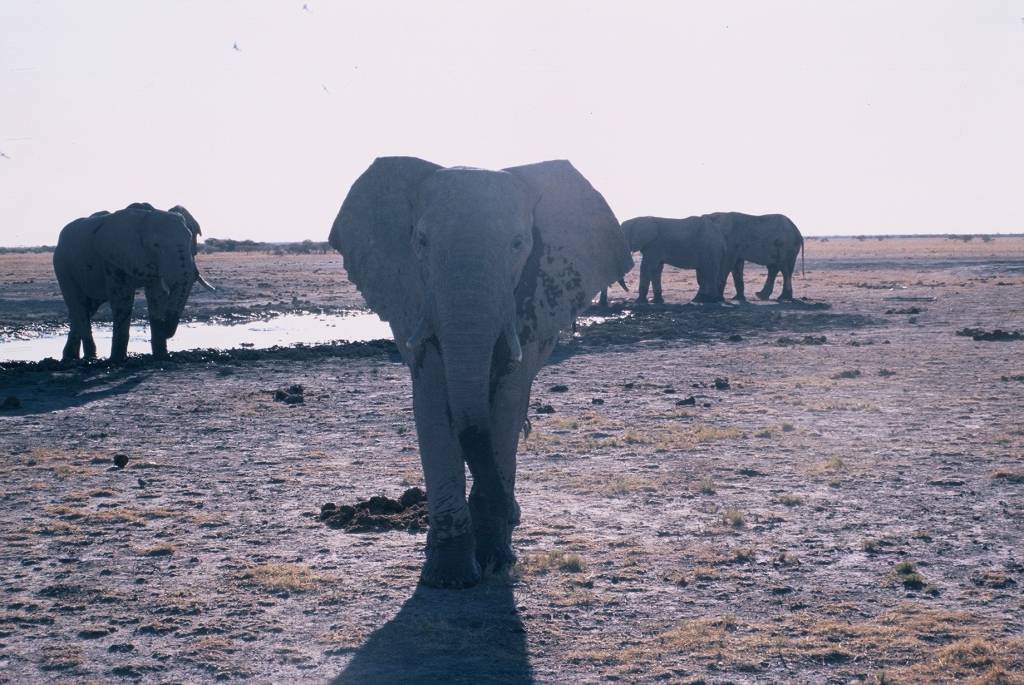 09NxaiF1000036.jpg