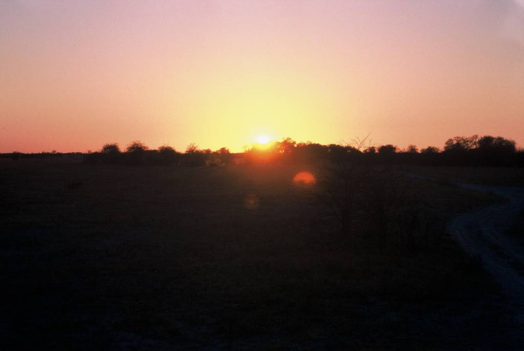 09NxaiF1000041.jpg