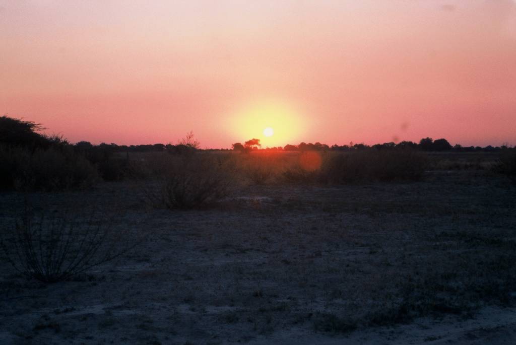 10Moremi3rdBridgeF1000012.jpg
