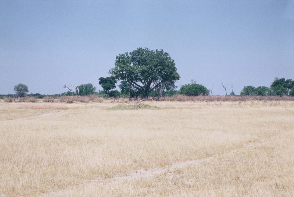 10Moremi3rdBridgeF1000031.jpg