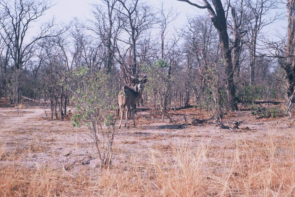 12MoremiKhwaiF100000002.JPG