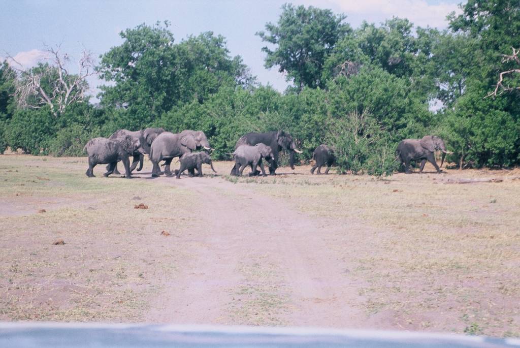 12MoremiKhwaiF1000006.jpg