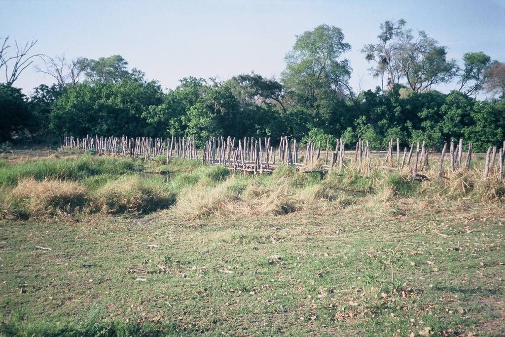 12MoremiKhwaiF1000010.jpg