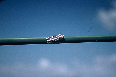 05Ok1GF1000009b.JPG 05Ok1GF1000009b.JPG