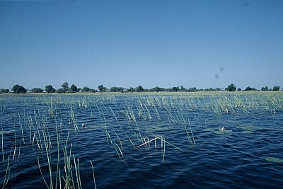 06Ok2F1000023.jpg 06Ok2F1000023.jpg