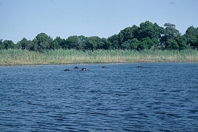 06Ok2F1000027.jpg 06Ok2F1000027.jpg