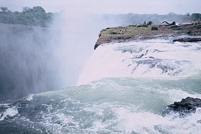 07VFZambpoolF1000027a.JPG 07VFZambpoolF1000027a.JPG