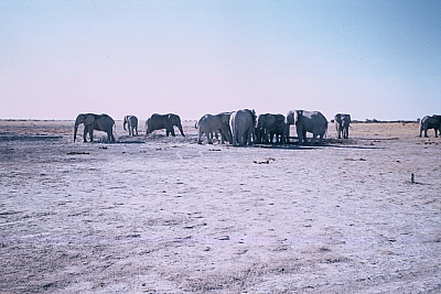 09NxaiF1000013.jpg 09NxaiF1000013.jpg