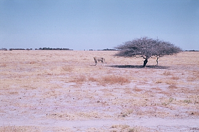 09NxaiF1000031.jpg 09NxaiF1000031.jpg