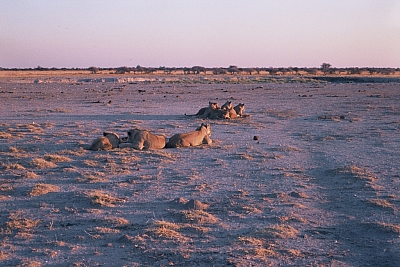 09NxaiGF1000008.JPG 09NxaiGF1000008.JPG