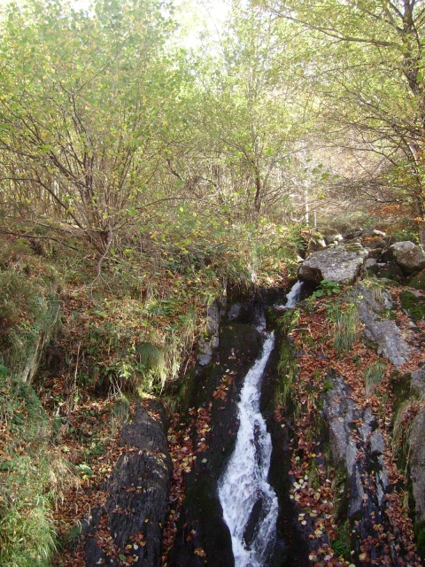 IMGP3733.JPG