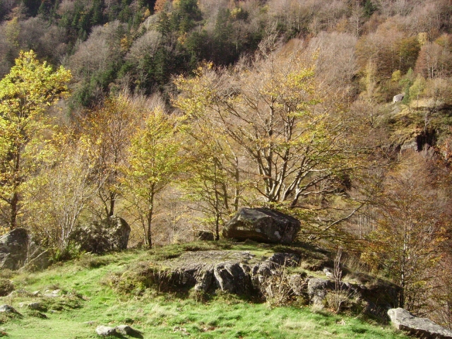 IMGP3735.JPG