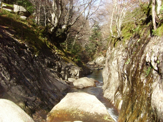 IMGP3746.JPG