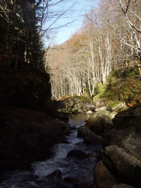 IMGP3758.JPG