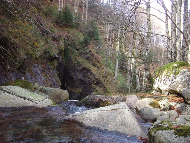 IMGP3762.JPG