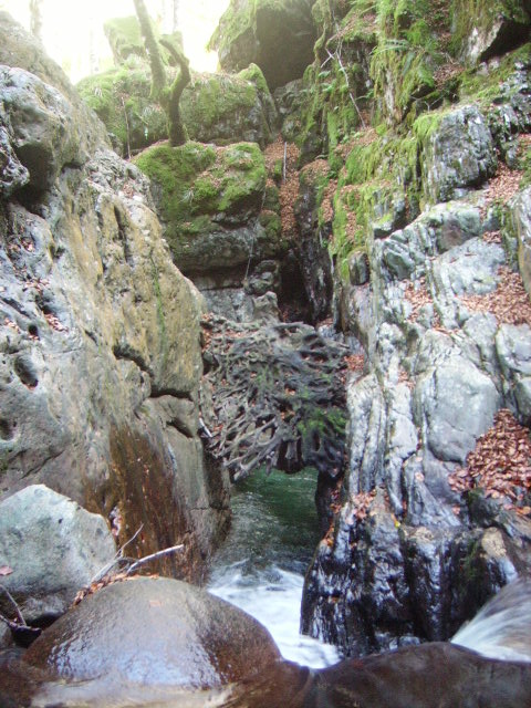 IMGP3770.JPG